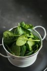 Foglie di spinaci freschi in metallo secchio bianco su fondo grigio — Foto stock
