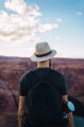 Повернення до бородатого хлопця з рюкзаком, який дивиться на прекрасний каньйон і спокійну річку в сонячний день на західному узбережжі Уса — стокове фото
