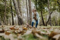 Criança engraçada segurando montão de folhagem seca no chão na floresta — Fotografia de Stock