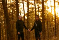 Homosexual couple holding hands and walking on way in forest at sunset — Stock Photo