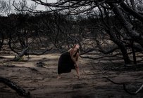 Молода балерина в чорному одязі танцює між сухим лісом — стокове фото