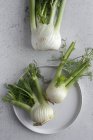 Органические здоровые свежие луковицы фенхеля с пластиной на потрепанной белой поверхности — стоковое фото