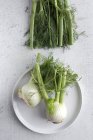 Organic healthy fresh fennel bulbs and stalks with plate on shabby white surface — Stock Photo
