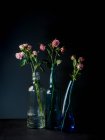 Vasos de vidro com buquês de flores encantadoras no fundo escuro — Fotografia de Stock