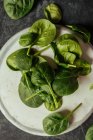 Fresh spinach leaves on white plate on grey surface — Stock Photo