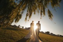 Vista posteriore degli sposi che si tengono per mano nel parco vicino ad alberi e case — Foto stock