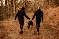 Vista posteriore della coppia omosessuale che si tiene per mano e cammina con il cane sulla strada in collina nella giornata di sole — Foto stock