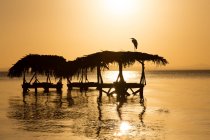 Стирка в море на закате — стоковое фото