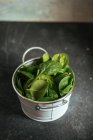 Hojas de espinacas frescas en cubo blanco metálico sobre fondo gris - foto de stock