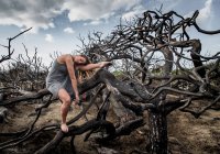 Молода балерина в сірому одязі з витягнутою ногою позує на гілках сухих лісів — стокове фото