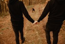 Back view of crop homosexual couple holding hands and walking on way in forest with dog — Stock Photo