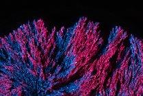 Fondo texturizado de ferrofluido majestuoso iluminado con luz de neón rosa y azul - foto de stock