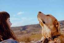 Вид сбоку на молодого хипстера, гладящего смешную собаку между лугом и голубым небом — стоковое фото