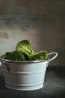Foglie di spinaci freschi in metallo secchio bianco su sfondo sfocato — Foto stock