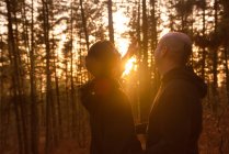Casal homossexual em pé na floresta em luz solar brilhante — Fotografia de Stock