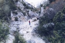 Von oben Rückansicht einer Frau, die zwischen Felsenbergen mit grünen Pflanzen wandert — Stockfoto