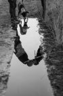 Black and white water slop com reflexo de casal beijando na estrada perto do cão — Fotografia de Stock
