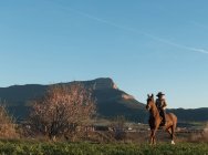 Femmina in cappello distogliendo lo sguardo e seduto su un bel cavallo contro il cielo blu senza nuvole nel prato — Foto stock