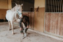Неузнаваемый кузнец с помощью ручного инструмента для измерения копыт белой лошади возле конюшни — стоковое фото