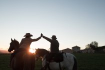 Rückansicht von Mann und Frau, die Pferde reiten und sich vor Sonnenuntergang auf einer Ranch gegenseitig hoch fünf geben — Stockfoto