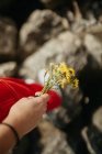 Primo piano di mano femminile che tiene piccoli fiori gialli su sfondo sfocato di rocce — Foto stock