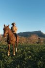 Женщина в шляпе смотрит в сторону и сидит на красивой лошади против безоблачного голубого неба на лугу — стоковое фото