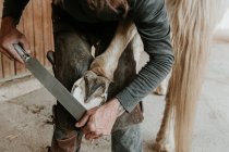 Vista laterale del fabbro adulto che usa il martello per mettere il ferro di cavallo sullo zoccolo del cavallo vicino alla stalla nel ranch — Foto stock