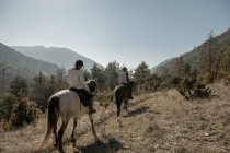 Visão traseira de pessoas montando cavalos em riacho calmo no dia ensolarado no incrível campo de outono durante a aula — Fotografia de Stock
