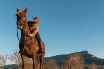 Feminino de chapéu olhando para longe e sentado em belo cavalo contra céu azul sem nuvens no prado — Fotografia de Stock