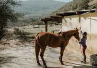 Симпатична маленька дівчинка в шоломі кладе чистку білого коня, стоячи біля кабін в стайні під час уроку верхової їзди на ранчо — стокове фото