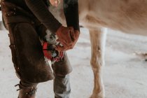 Unbekannter Hufschmied setzt Hufeisen auf Huf eines weißen Pferdes auf Ranch — Stockfoto