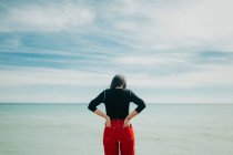 Visão traseira da mulher admirando vista do mar calmo no dia ensolarado — Fotografia de Stock