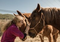 Mulher cuidando de cavalo perto estável após lição no dia ensolarado no rancho — Fotografia de Stock