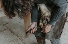 Uomo adulto irriconoscibile che usa il coltello per rimuovere la sporcizia dallo zoccolo del cavallo nel ranch — Foto stock