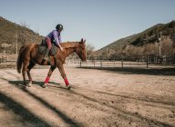 Jovem fêmea no capacete montando cavalo maravilhoso no recinto contra o céu azul sem nuvens durante a lição na fazenda — Fotografia de Stock
