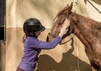 Cute little girl in helmet putting brushing a white horse while standing near stalls in stable during horseback riding lesson on ranch — Stock Photo