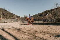 Joven hembra en casco montando maravilloso caballo en recinto contra el cielo azul sin nubes durante la lección en el rancho - foto de stock