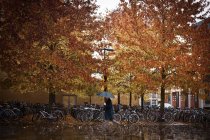 Persona irreconocible con paraguas caminando por la calle cerca de árboles de otoño y estacionamiento de bicicletas en Londres, Reino Unido - foto de stock