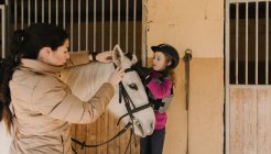 Bastante joven hembra y linda niña en casco poner freno a caballo blanco, mientras que de pie cerca de puestos en establo durante la clase de equitación en el rancho - foto de stock