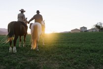 Rückansicht von Mann und Frau auf Pferden und Händchen haltend gegen den Sonnenuntergang auf der Ranch — Stockfoto