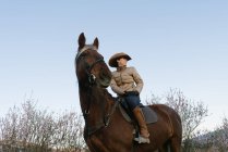 Frau mit Hut schaut weg und sitzt auf schönem Pferd vor wolkenlosem blauen Himmel auf der Wiese — Stockfoto