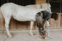 Unrecognizable blacksmith using manual tool to measure hoof of white horse near stable — Stock Photo