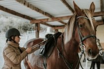 Vista lateral de la joven hembra en casco poner silla de montar en caballo maravilloso cerca de establo en rancho - foto de stock