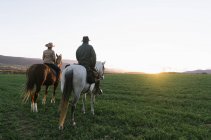 Back view of man and woman riding horses against sunset sky on ranch — Stock Photo