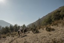 Vista posteriore di persone a cavallo in tranquillo torrente nella giornata di sole nella splendida campagna autunnale durante la lezione — Foto stock