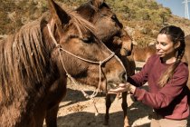 Досить молода жінка посміхається і годує красивого коня в сонячний день в сільській місцевості — стокове фото