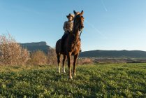 Feminino de chapéu olhando para longe e sentado em belo cavalo contra céu azul sem nuvens no prado — Fotografia de Stock