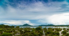 Schöne Aussicht auf üppige tropische Vegetation am Meer vor blauem Himmel in Wolken, Kambodscha — Stockfoto