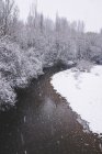 Rio que flui entre neve floresta de inverno — Fotografia de Stock