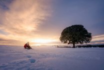 Pessoa em roupas quentes sentado no campo nevado espaçoso tocando guitarra no fundo do céu brilhante do pôr do sol e árvore solitária — Fotografia de Stock